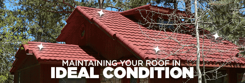 Caring for your Metal Roof