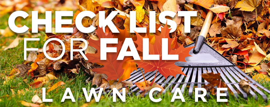 Lawn Care Checklist for Fall